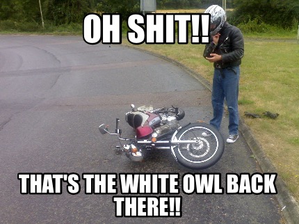 oh-shit-thats-the-white-owl-back-there