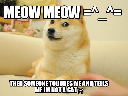 Meme Maker Meow Meow Then Someone Touches Me And Tells Me Im Not A Cat Meme Generator