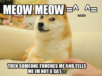 Meme Maker Meow Meow Then Someone Touches Me And Tells Me Im Not A Cat Meme Generator Meme Maker Meow Meow Then Someone Touches Me And Tells Me Im Not A Cat Meme Generator