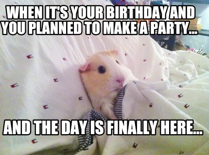 when-its-your-birthday-and-you-planned-to-make-a-party...-and-the-day-is-finally