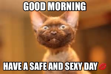 Meme Maker - Good morning Have a safe and sexy day???? Meme Generator! Meme Maker - Good morning Have a safe and sexy day???? Meme Generator!