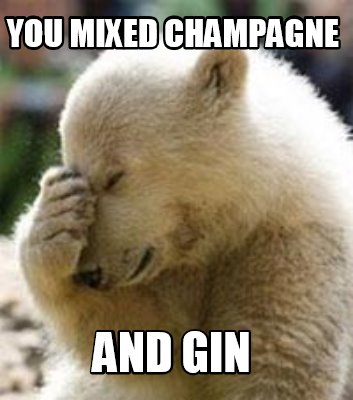 Meme Maker - you mixed champagne and gin Meme Generator!