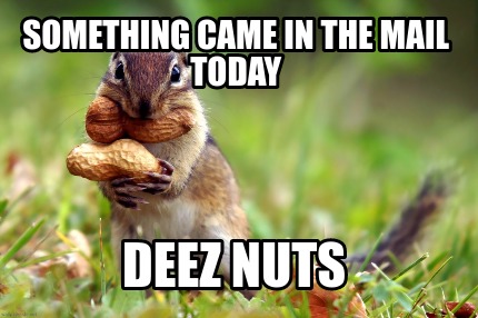 something-came-in-the-mail-today-deez-nuts
