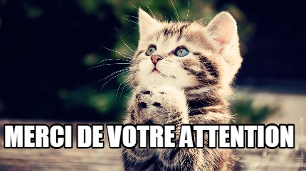 merci-de-votre-attention