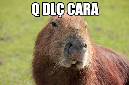 q-dl-cara5