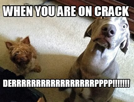 Meme Maker When You Are On Crack Derrrrrrrrrrrrrrrrrpppp Meme Generator Meme Maker When You Are On Crack Derrrrrrrrrrrrrrrrrpppp Meme Generator