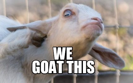 we-goat-this