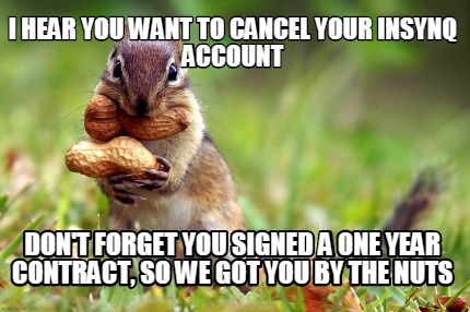 i-hear-you-want-to-cancel-your-insynq-account-dont-forget-you-signed-a-one-year-