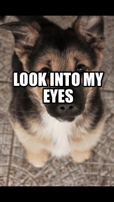 look-into-my-eyes51