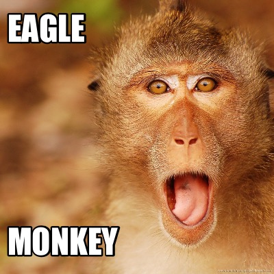 eagle-monkey