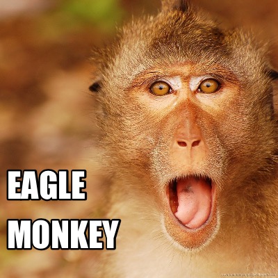 eagle-monkey8