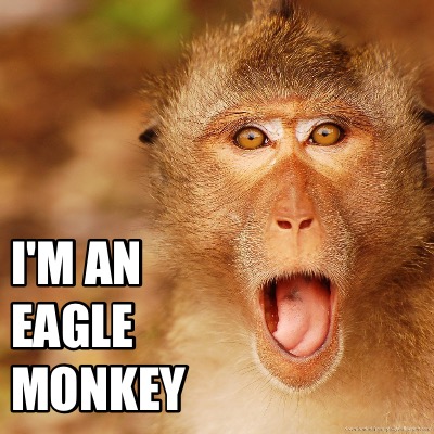im-an-monkey-eagle