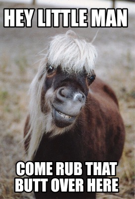 wallpapers Man Horse Meme hey little man come rub that butt over