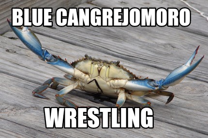 blue-cangrejomoro-wrestling