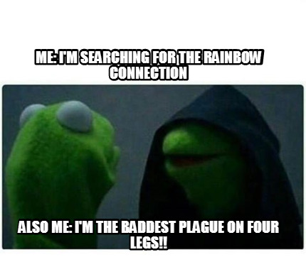 me-im-searching-for-the-rainbow-connection-also-me-im-the-baddest-plague-on-four