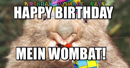 happy-birthday-mein-wombat