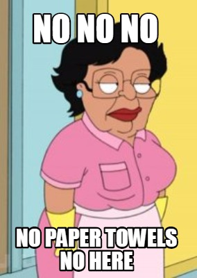 no-no-no-no-paper-towels-no-here