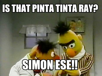 is-that-pinta-tinta-ray-simon-ese