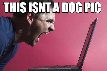 this-isnt-a-dog-pic
