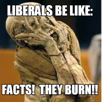 liberals-be-like-facts-they-burn