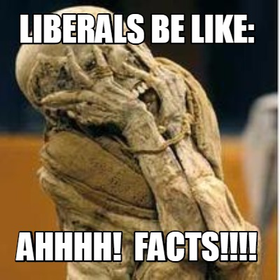 liberals-be-like-ahhhh-facts