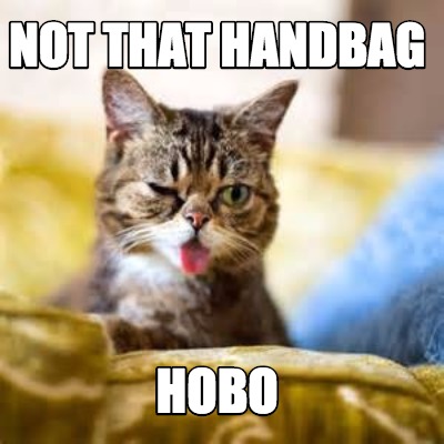not-that-handbag-hobo