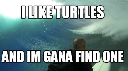 i-like-turtles-and-im-gana-find-one