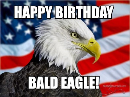 happy-birthday-bald-eagle