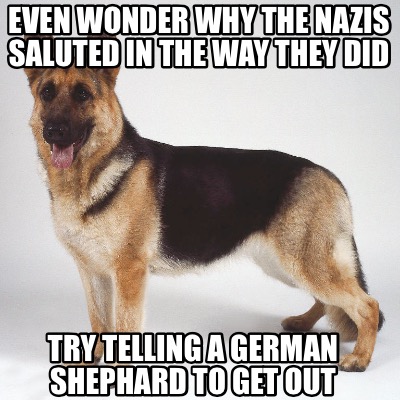 even-wonder-why-the-nazis-saluted-in-the-way-they-did-try-telling-a-german-sheph
