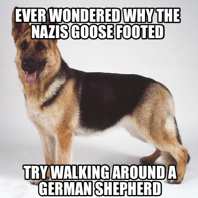 ever-wondered-why-the-nazis-goose-footed-try-walking-around-a-german-shepherd