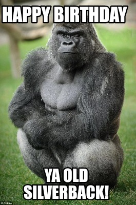 happy-birthday-ya-old-silverback