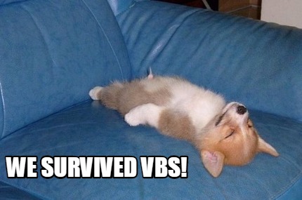 we-survived-vbs