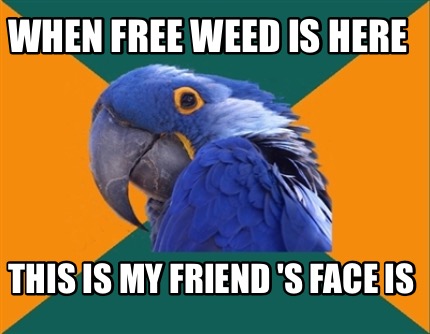 when-free-weed-is-here-this-is-my-friend-s-face-is3