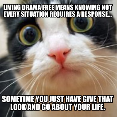 living-drama-free-means-knowing-not-every-situation-requires-a-response...-somet