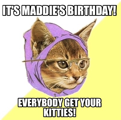 its-maddies-birthday-everybody-get-your-kitties