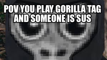 pov-you-play-gorilla-tag-and-someone-is-sus9