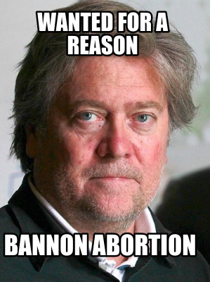 wanted-for-a-reason-bannon-abortion
