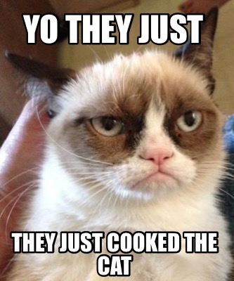 yo-they-just-they-just-cooked-the-cat