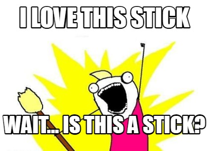 i-love-this-stick-wait...-is-this-a-stick