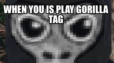 when-you-is-play-gorilla-tag