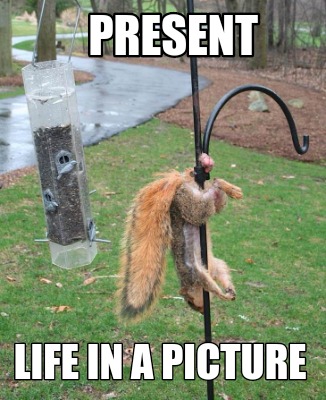 present-life-in-a-picture