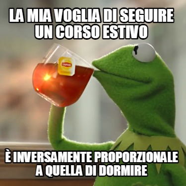 la-mia-voglia-di-seguire-un-corso-estivo-inversamente-proporzionale-a-quella-di-