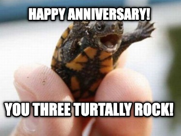 happy-anniversary-you-three-turtally-rock