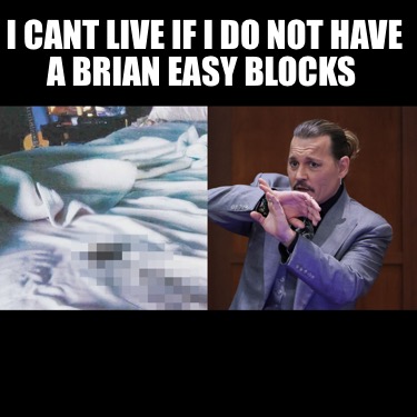 i-cant-live-if-i-do-not-have-a-brian-easy-blocks