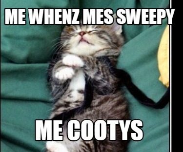 me-whenz-mes-sweepy-me-cootys