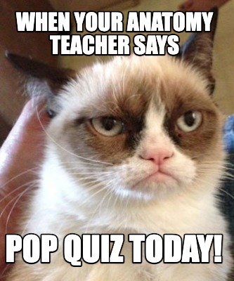 when-your-anatomy-teacher-says-pop-quiz-today