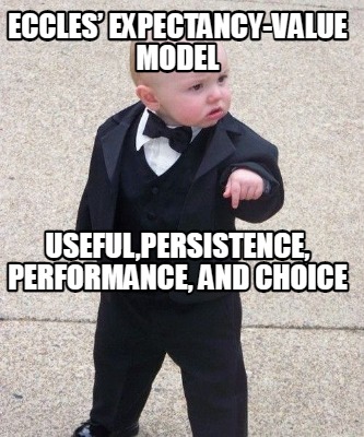 eccles-expectancy-value-model-usefulpersistence-performance-and-choice