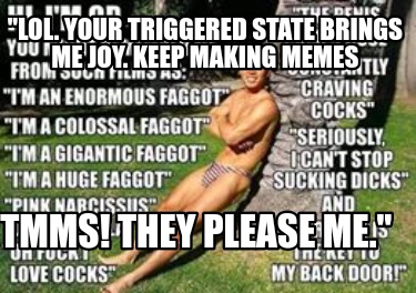 lol.-your-triggered-state-brings-me-joy.-keep-making-memes-tmms-they-please-me