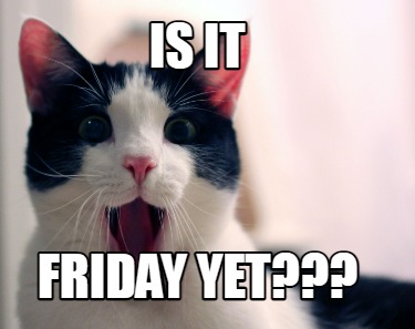 Meme Maker - IS IT FRIDAY YET??? Meme Generator!