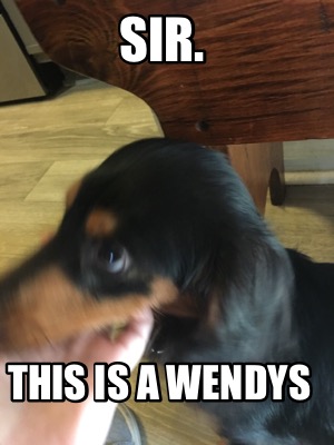 Meme Maker Sir This is a Wendys Meme Generator Meme Maker Sir This is a Wendys Meme Generator
